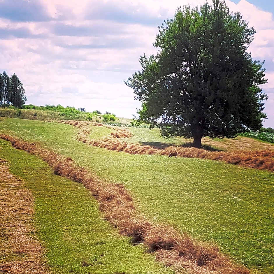 Sielski Spokój Dom z bali Apartamenty całoroczne