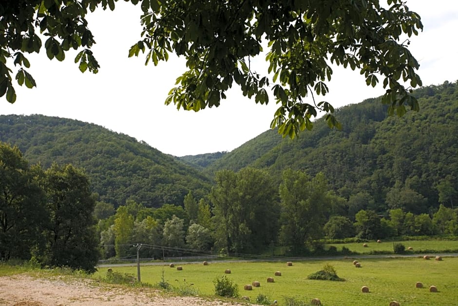 Maison hôtes Pacelian