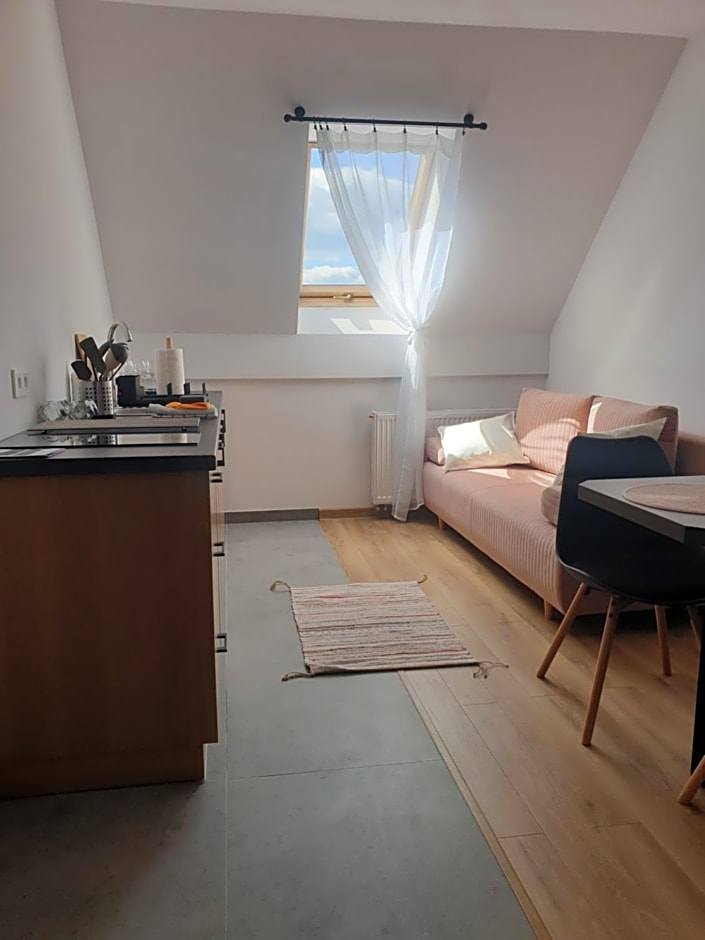 Apartamenty na Rycerskiej