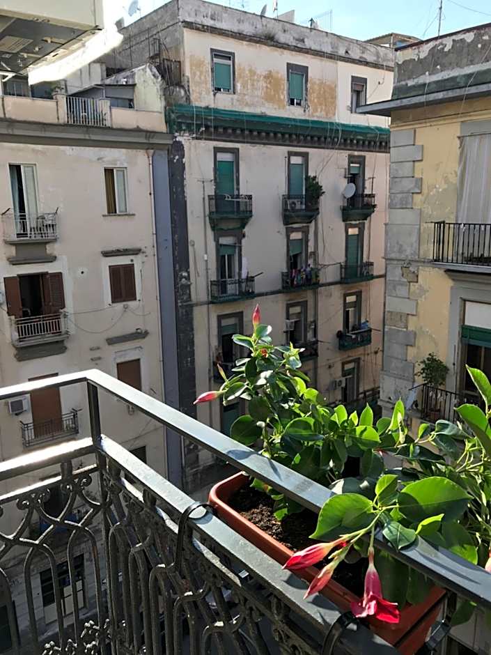 Joy Naples