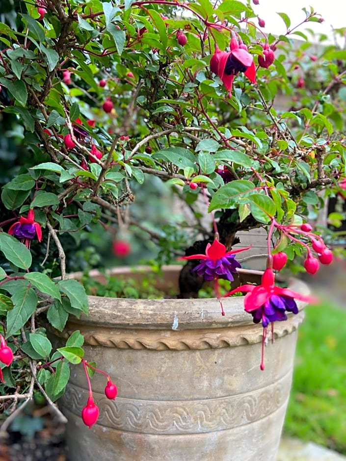 Chateau La Rametiere