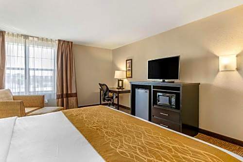 Comfort Inn & Suites Allen Park - Dearborn