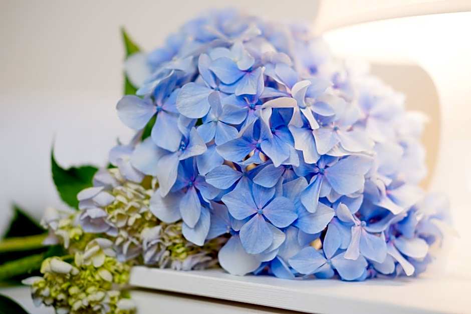 Balneario Hotel Dávila