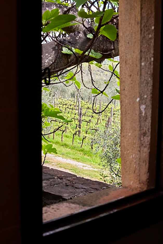 Certosa di Pontignano Residenza d'Epoca - Place of Charme