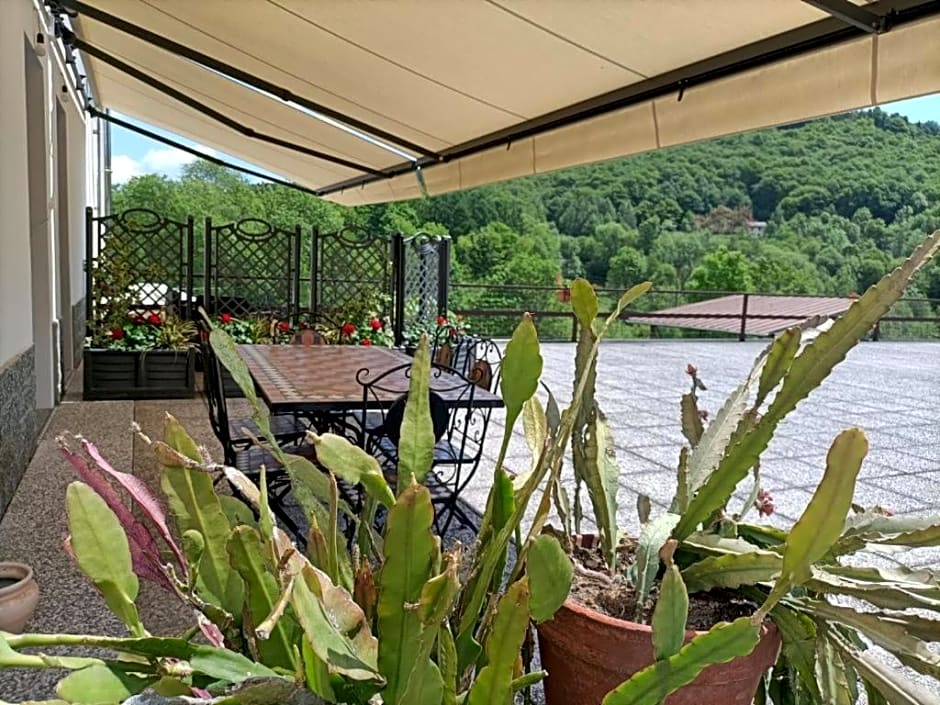 Favetto Family Ranch