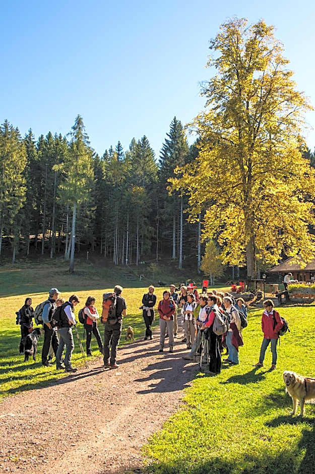 Hostel L'Ost - Ostello di Grumes