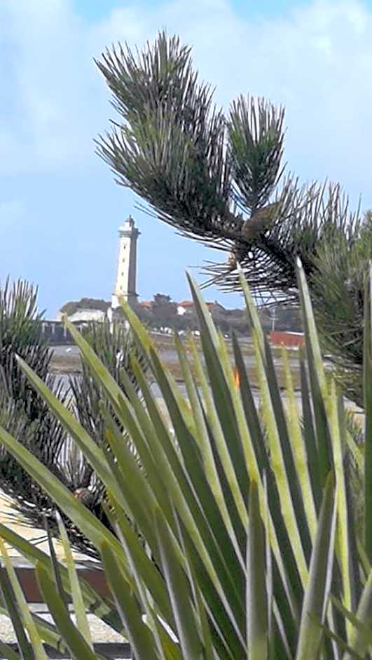 Le Crist'Al Hôtel de charme en bord de mer