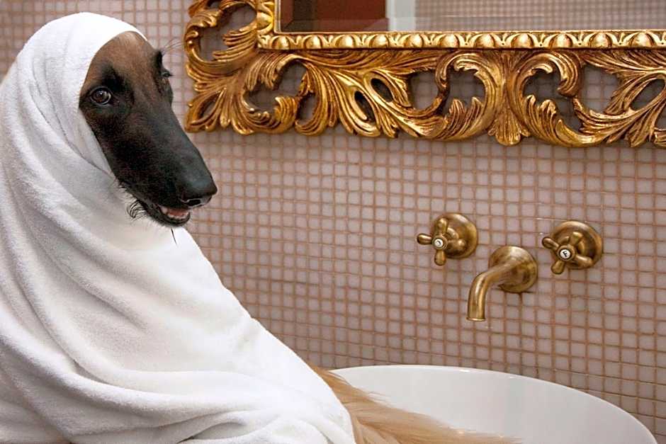 Miramare Cagliari Hotel Museo