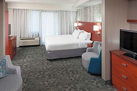 Larger Guest room, 1 King, Sofa bed