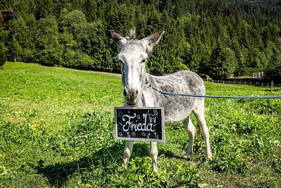 Hotel Alpenwelt Superior