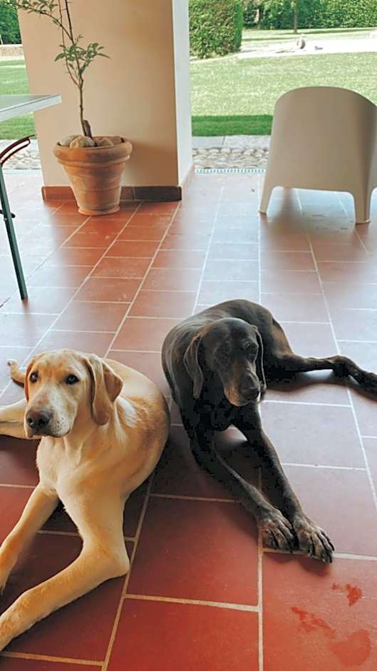 La Scuderia Charming Rooms b&b