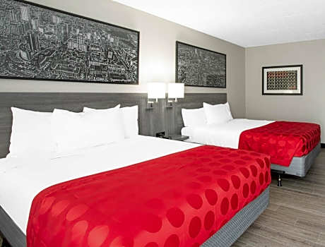 2 Queen Beds Studio Suite Non-Smoking