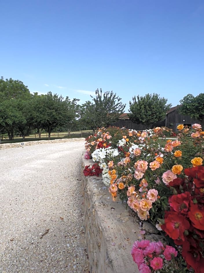 Bed & Breakfast au calme