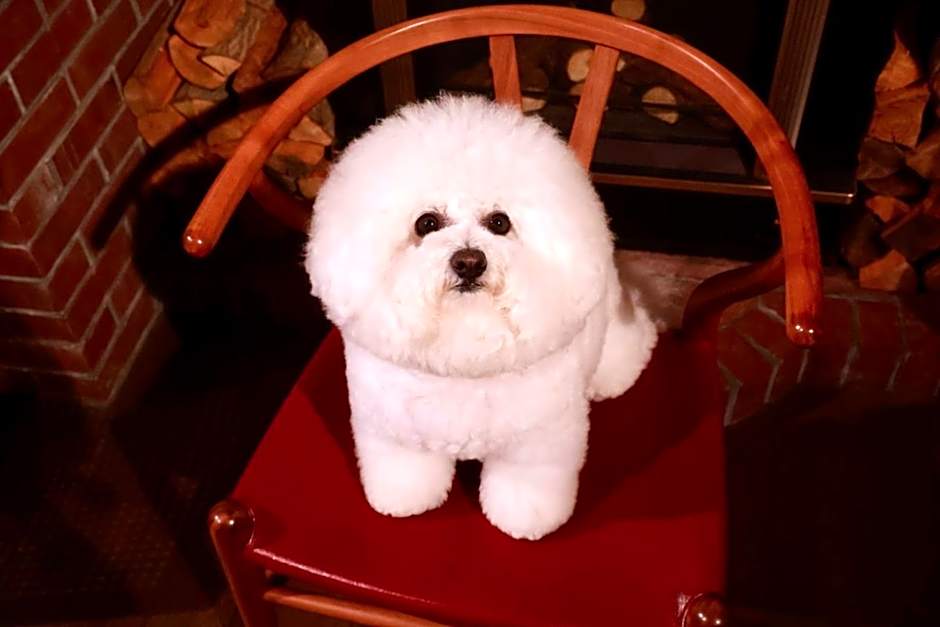 Appi Life is Beautiful