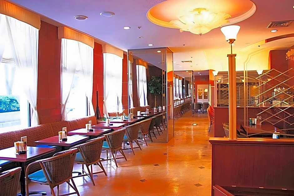 Toyama Manten Hotel