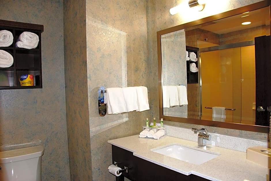 Holiday Inn Express & Suites St Louis Airport, an IHG Hotel By IHG