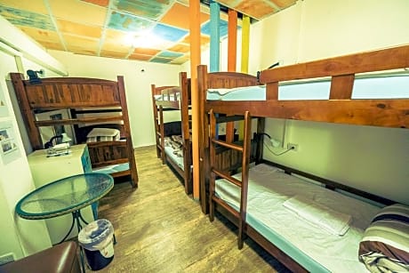 Single Bed in 10-Bed Female Dormitory Room
