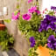 Casa Ticul Hotel Boutique - 5Th Ave by BFH
