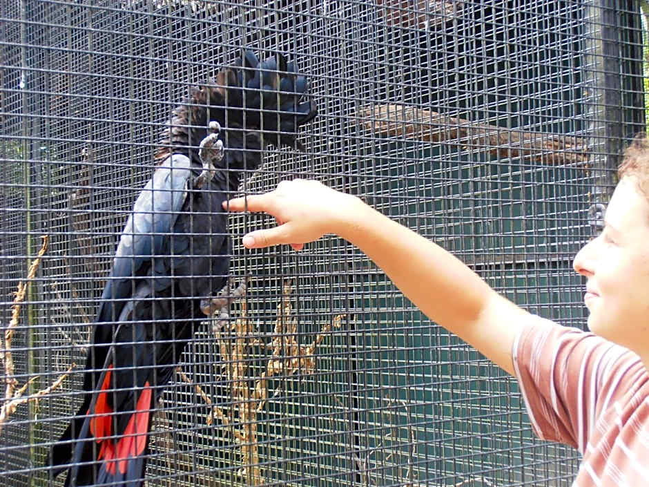 Daintree Wild Bed & Breakfast