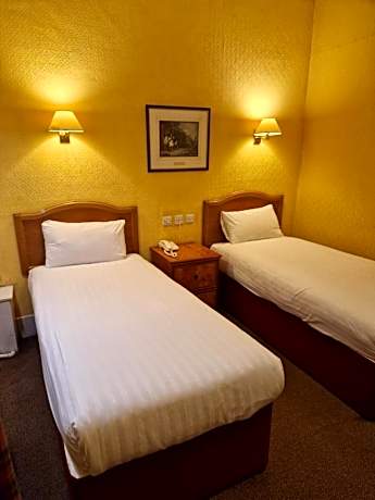 Cozy Double or Twin Room