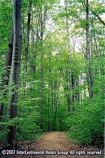 Staybridge Suites Oakville Burlington By IHG