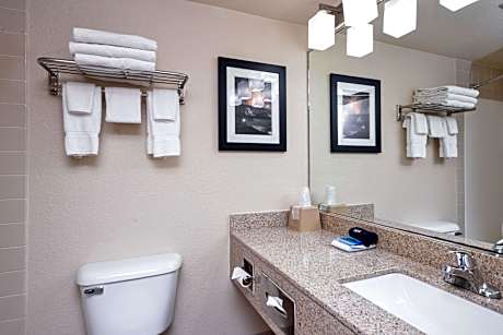 1 King Bed, Non-Smoking, High Speed Internet Access, Coffee Maker, Hairdryer, Iron And Ironing Board