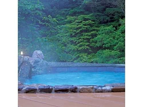 Okudogo Ichiyunomori - Vacation STAY 95377