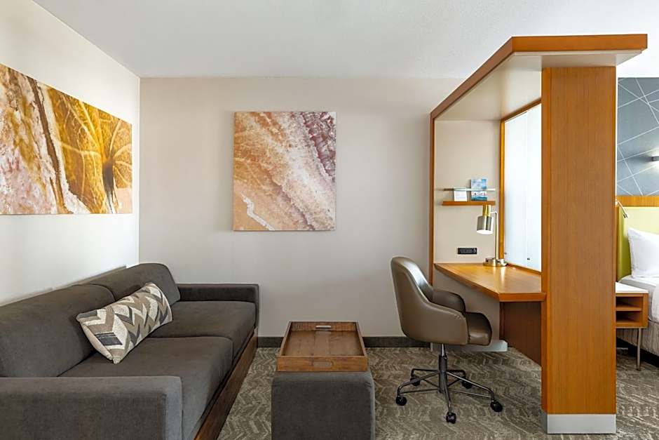 SpringHill Suites by Marriott Wisconsin Dells