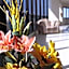 Hotel Za Maria