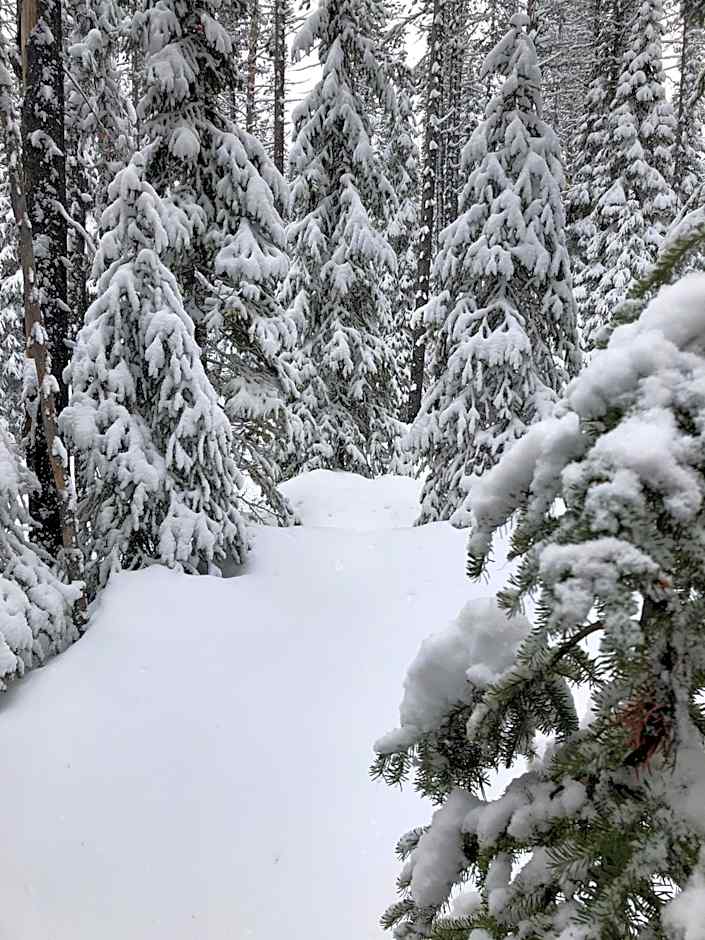 The Lodge at Lolo Hot Springs