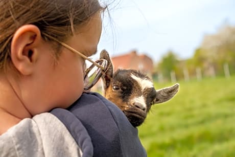 Logements insolites à la ferme - Yourte, Kota ou Pod