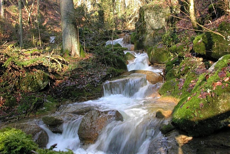 Fontana Garni