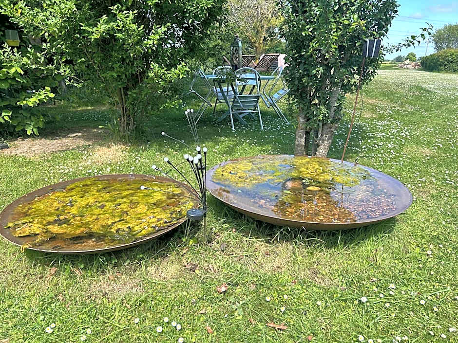 Mr Hares shepherd hut