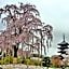 Stay SAKURA Kyoto Higashi Hongan-ji I