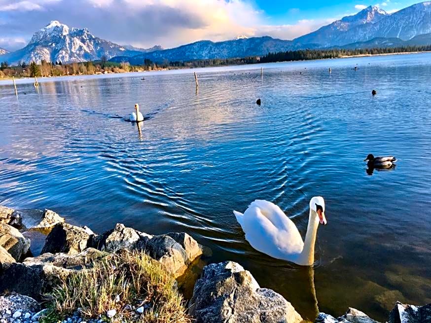 Hotel Fischer am See