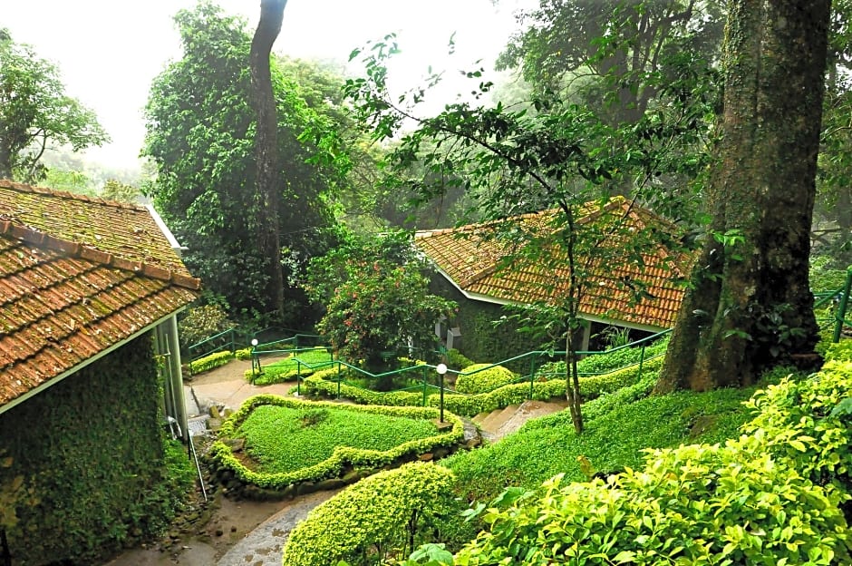 The Tall Trees Munnar