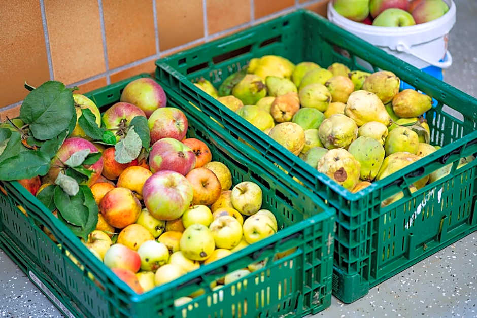 Gasthaus-Pension Zum Kreuz