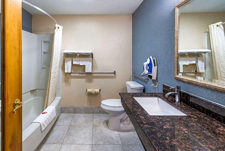 Photo 1 of 4 of 1 King Bed Suite, Accessible