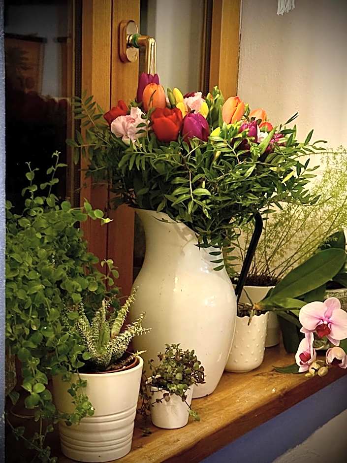 Viandanti, Artisti e Sognatori