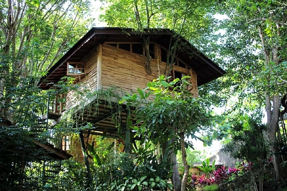 Roots Tree House