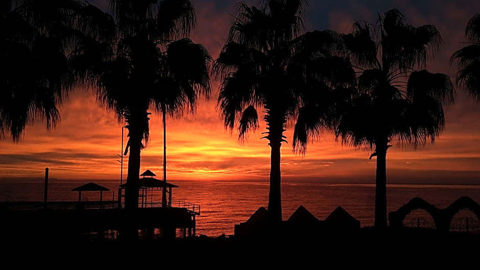 Seagull Hotel - All Inclusive