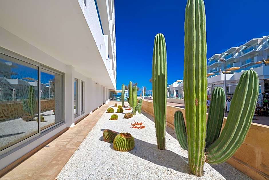 The Sea Hotel by Grupotel - Adults Only