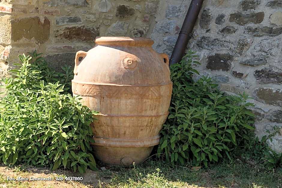 Il Bosso di Toscana
