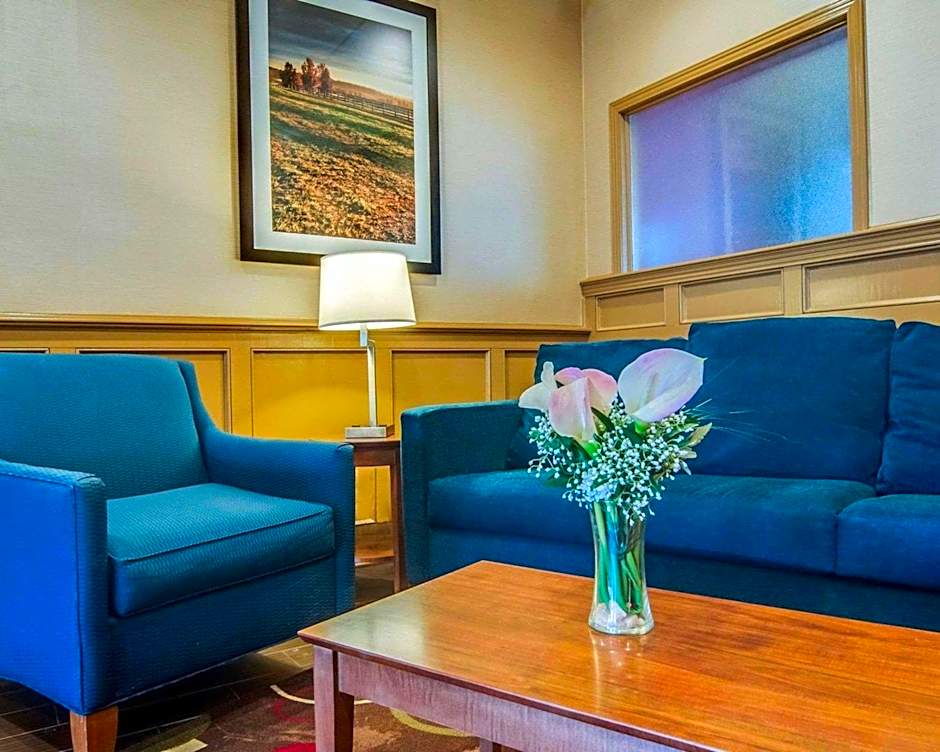 Comfort Inn & Suites Raphine - Lexington near I-81 and I-64