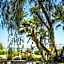 Villa Marina Capri - Preferred Hotels & Resorts