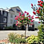 Fairfield Inn & Suites by Marriott Ukiah Mendocino County