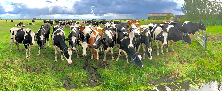 Slapen op het platteland