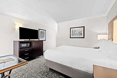 1 Queen Bed, Non-Smoking, Microwave, Refrigerator, High Speed Internet Access