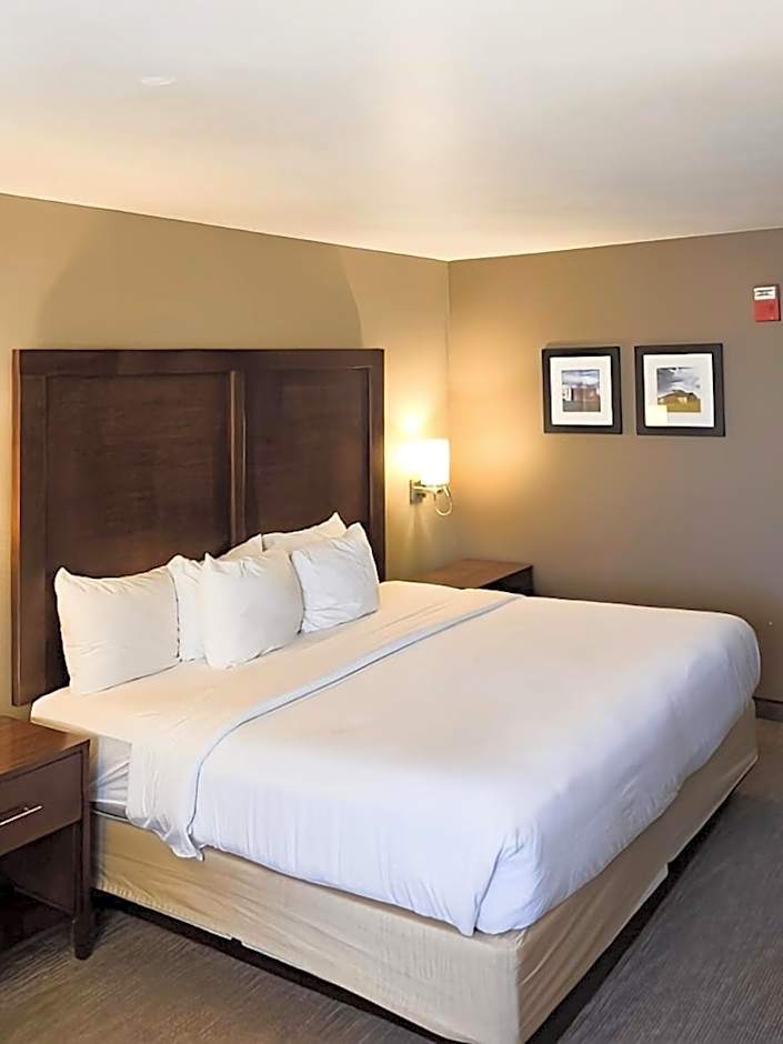 Comfort Inn Marshalltown South