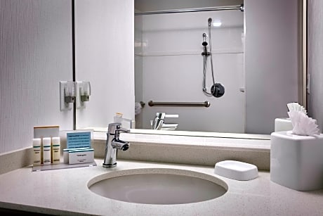 1 Queen Accessible Roll In Shower Non-Smoking